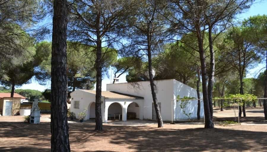 House in Bonares, Andalusia 10876583