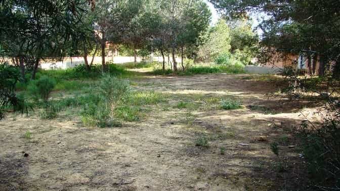 Tanah di Algorfa, Valencia 10878243