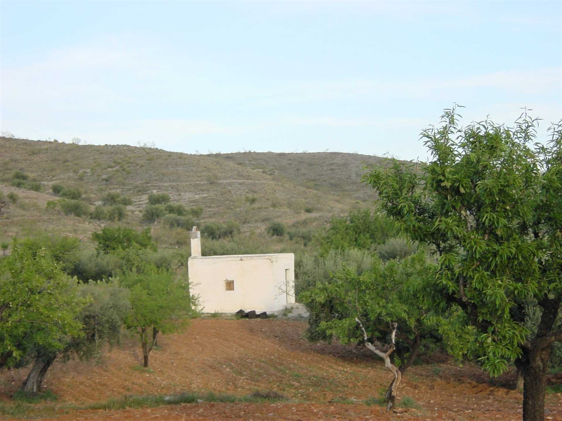 Terra no Uleila del Campo, Andaluzia 10878352
