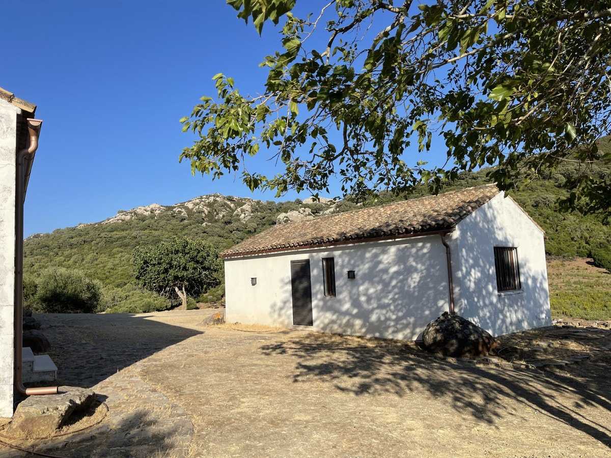 房子 在 Castellar de la Frontera, Andalucía 10878476