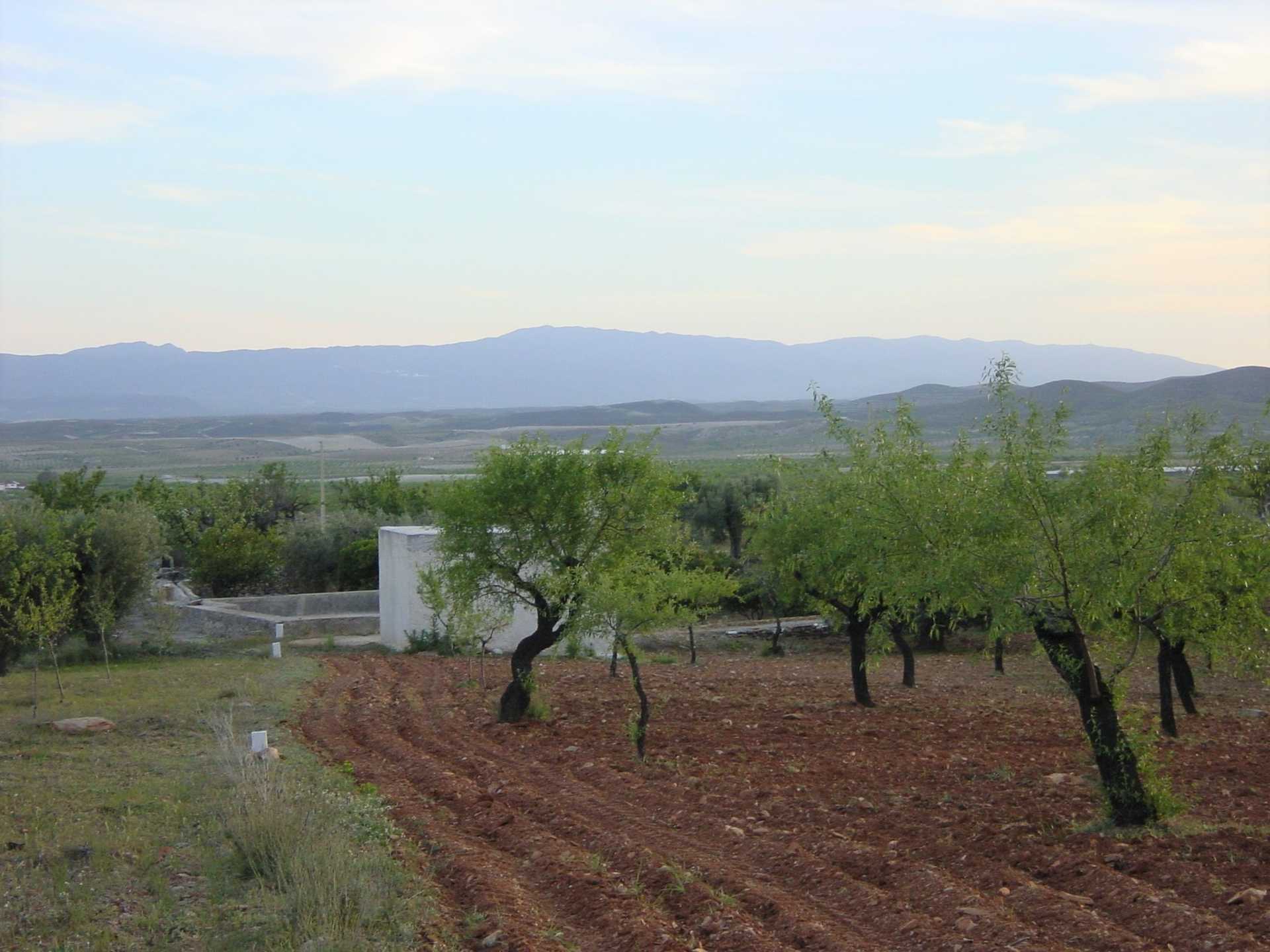 Terre dans Uleila del Campo, Andalousie 10879943