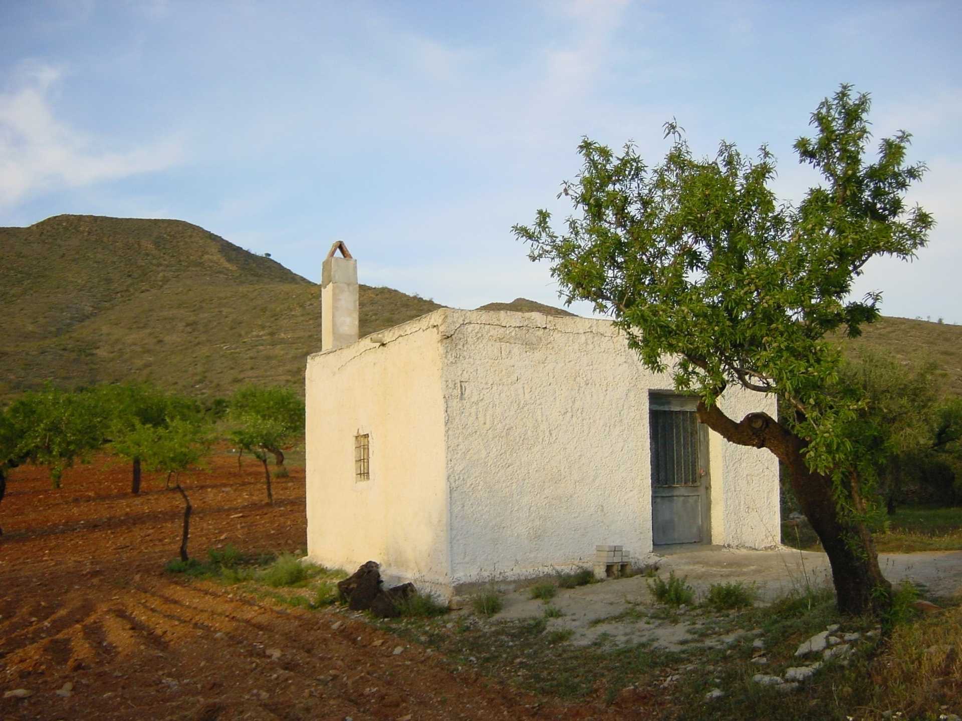 Terre dans Uleila del Campo, Andalousie 10879943