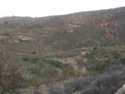 Tanah dalam Bédar, Andalucía 10880274