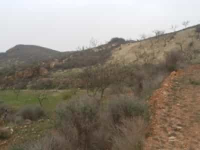 Γη σε Bédar, Andalucía 10880274