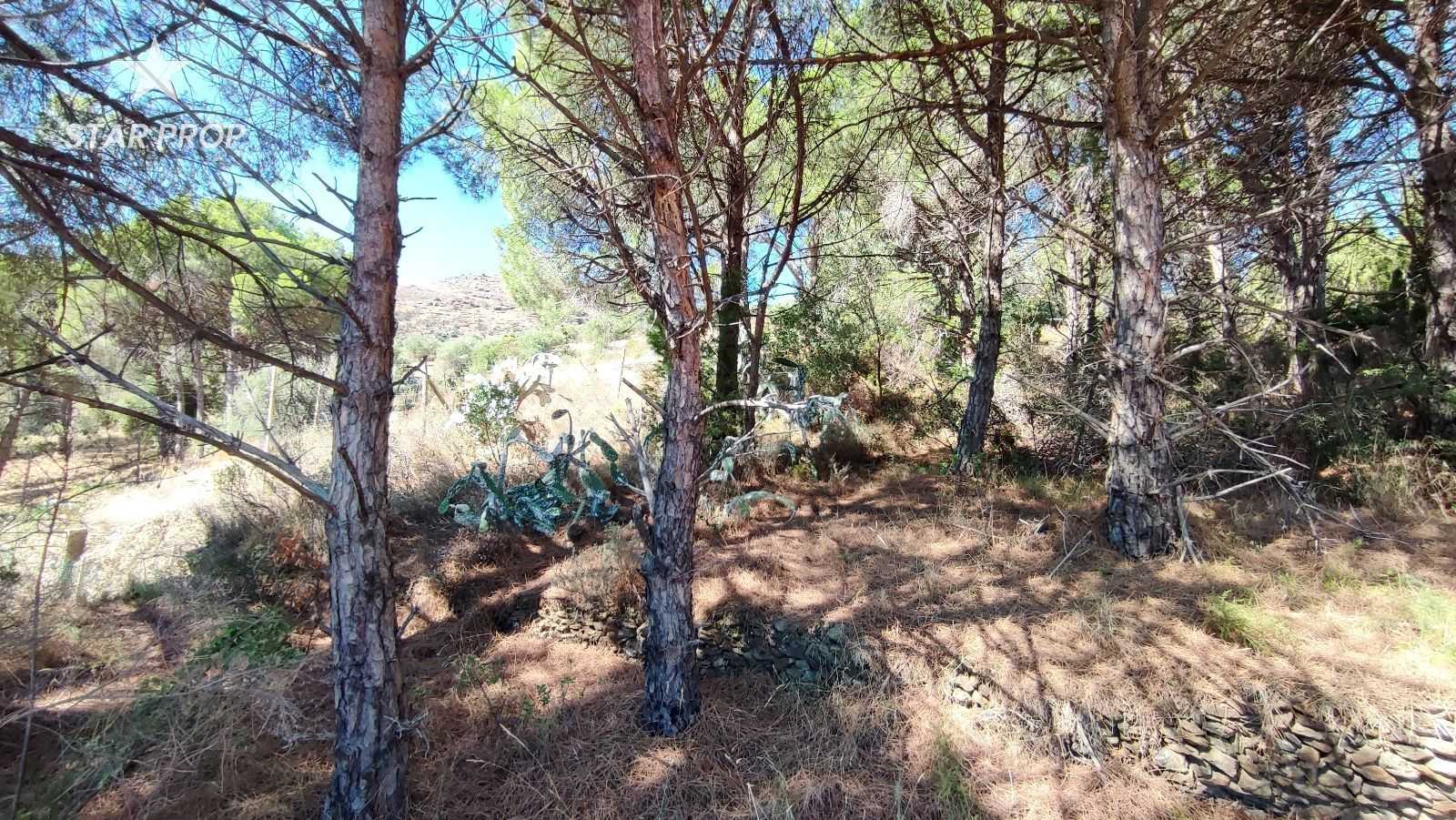 Land in El Port de la Selva, Catalunya 10880653