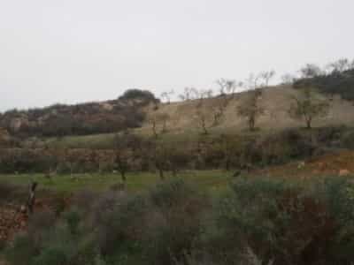 Tanah dalam Bédar, Andalucía 10881901