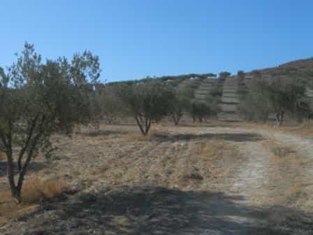 Land in Sorbas, Andalusia 10881909