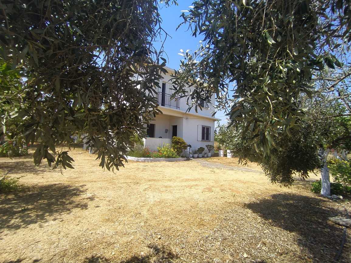 Будинок в Лаккой, Криті 10882948