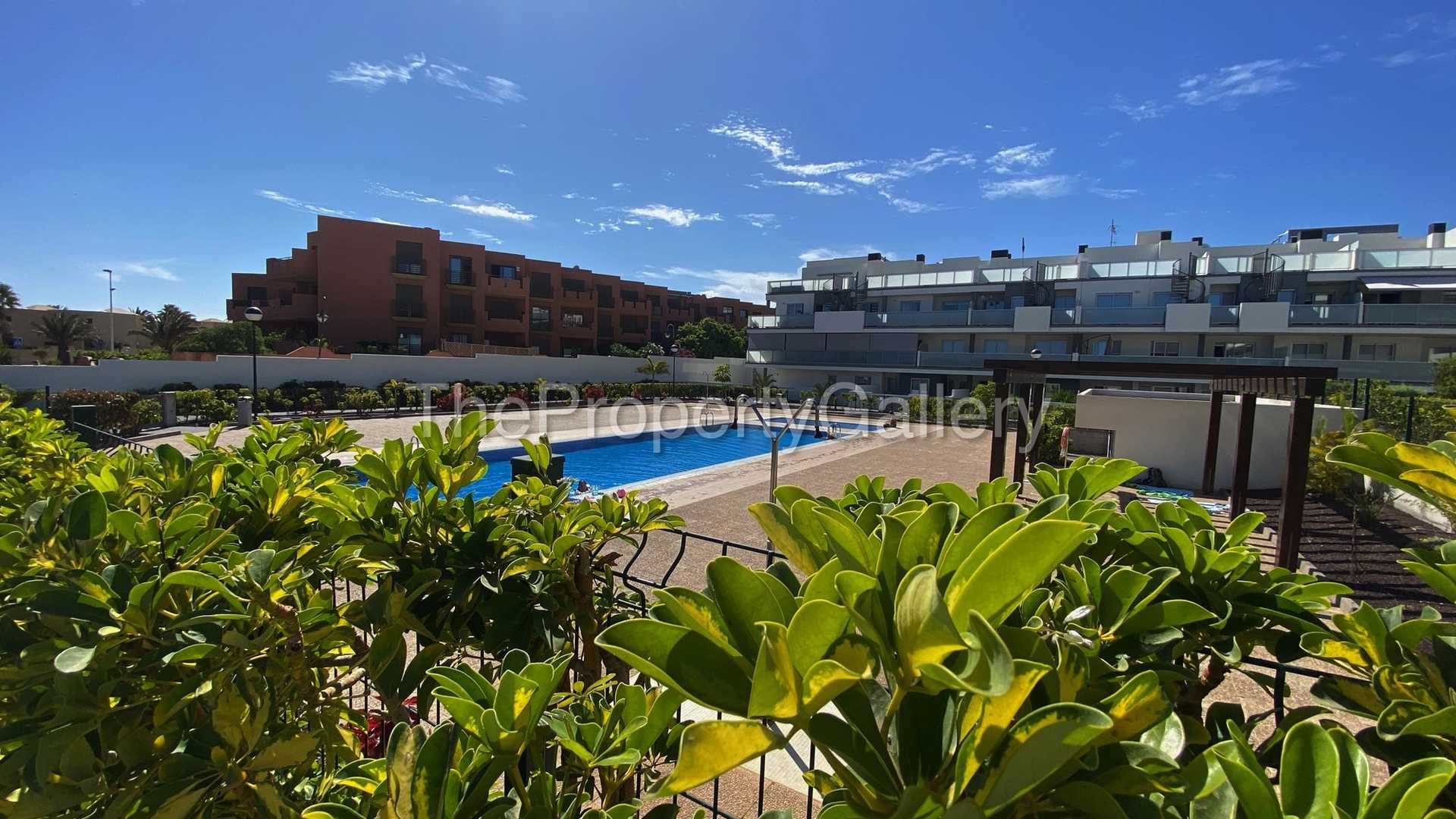 Condominium in El Medano, Canary Islands 10884583