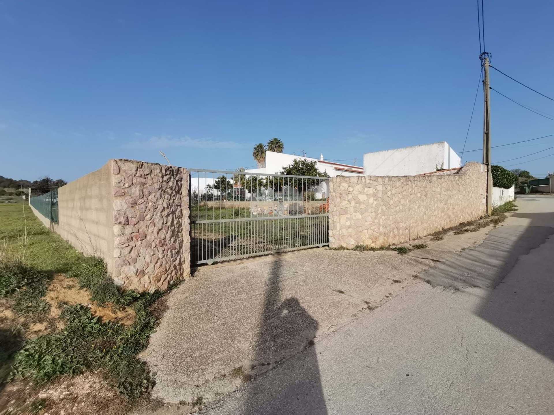 Land in Torre, Faro 10885131