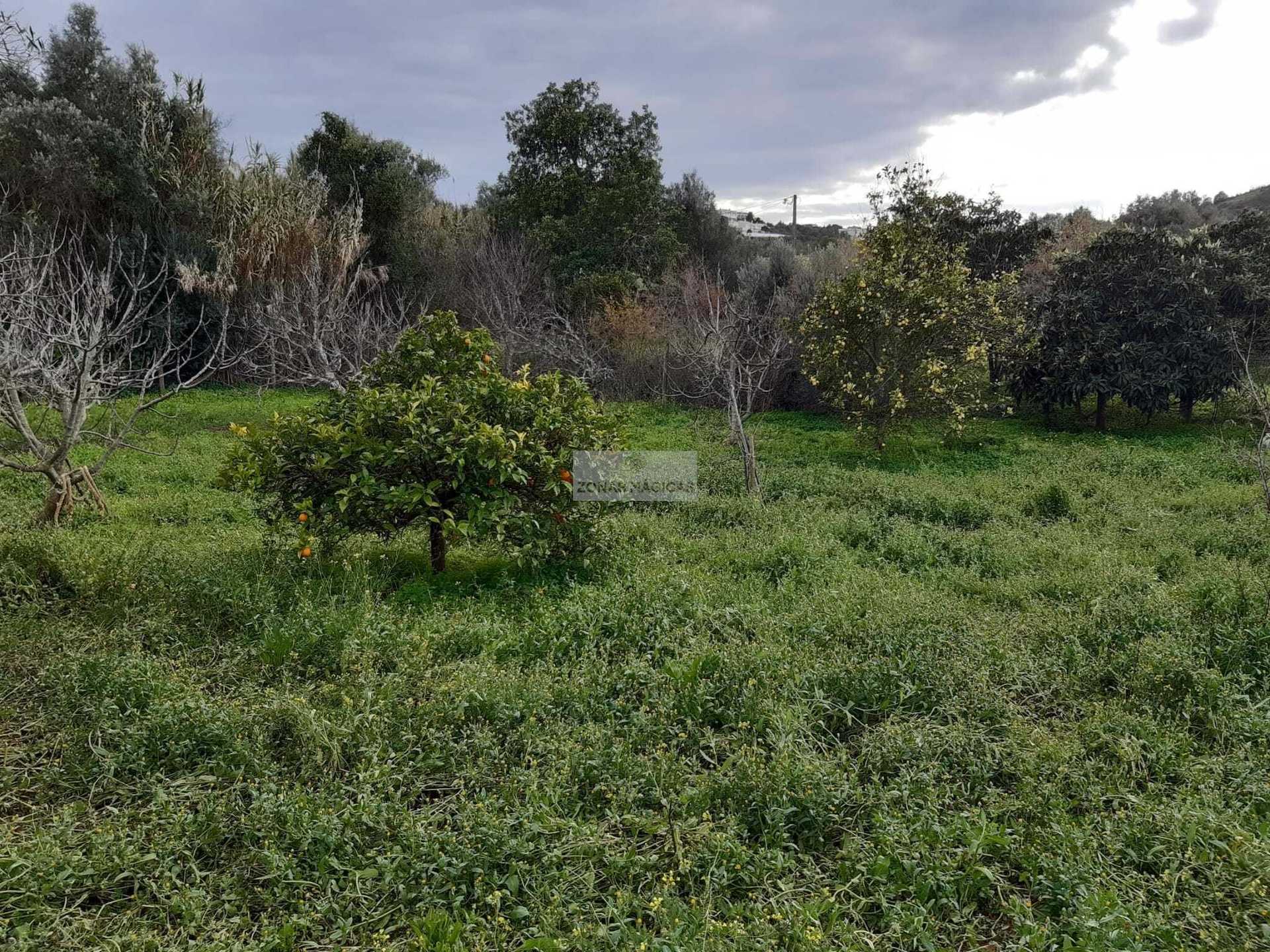 Land in , Faro District 10885133
