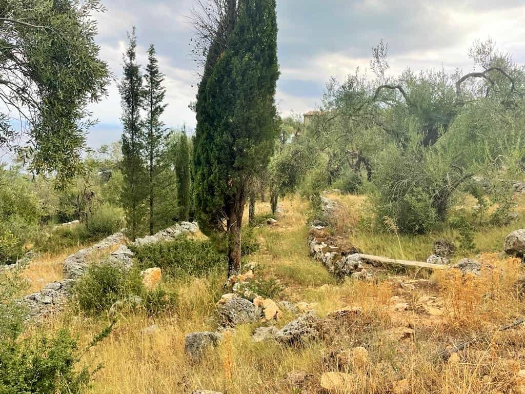 Земельные участки в Agios Markos, Ionia Nisia 10889603