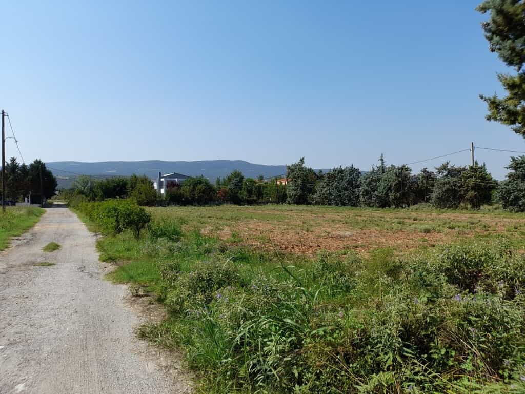 Tanah dalam Vasilika, Kentriki Makedonia 10889605