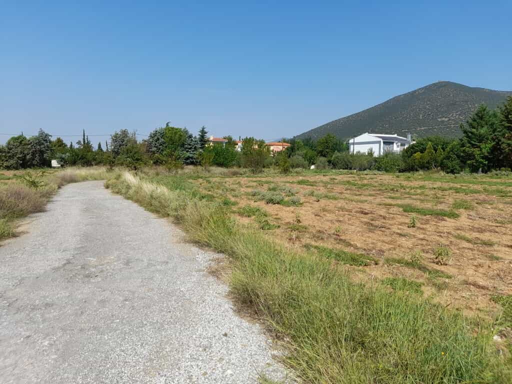 Tanah dalam Vasilika, Kentriki Makedonia 10889608