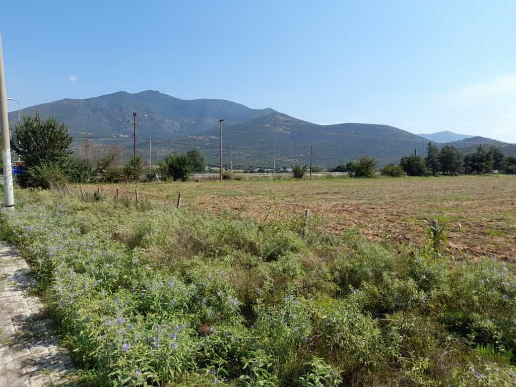 Tanah dalam Vasilika, Kentriki Makedonia 10889611