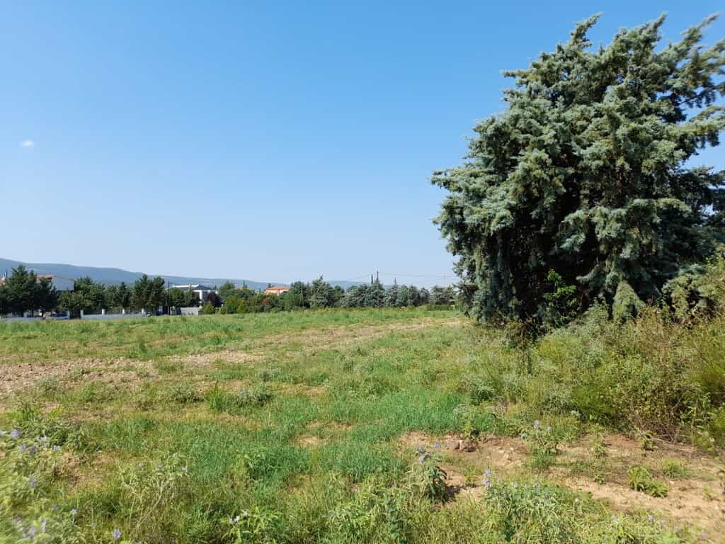 Land in Vasilika, Kentriki Makedonia 10889615