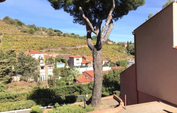 房子 在 Collioure, Occitanie 10890207