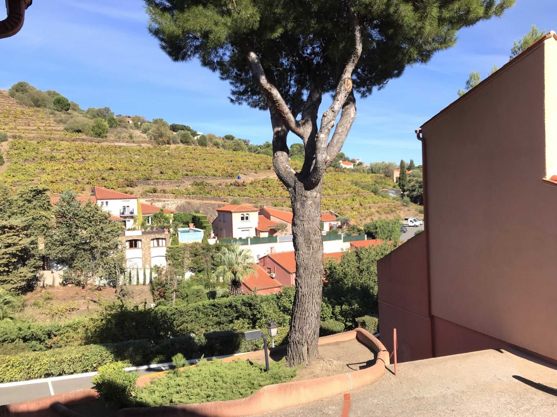 rumah dalam Collioure, Occitanie 10890207