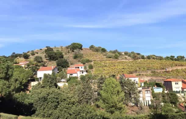 Hus i Collioure, Occitanie 10890207