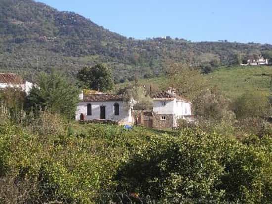 Andere in Gaucin, Andalusië 10892798