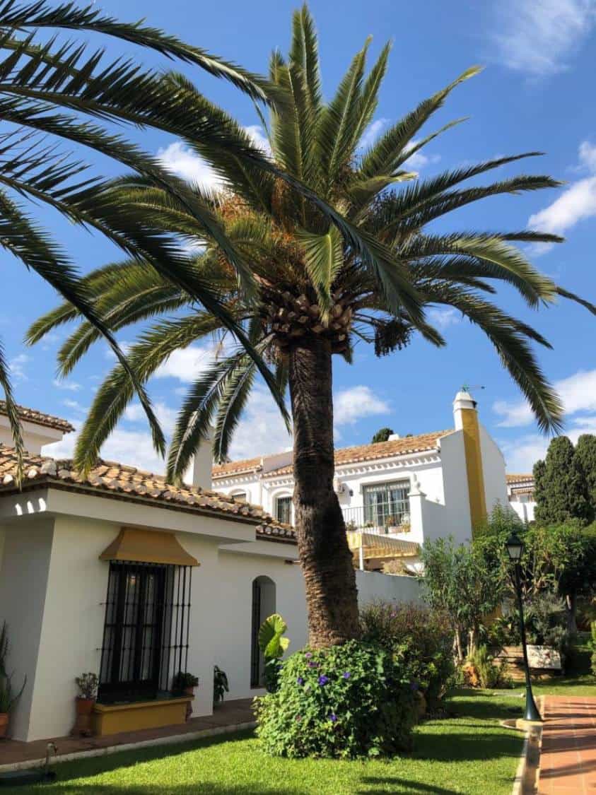 Condominio nel Fuengirola, Andalucía 10895007