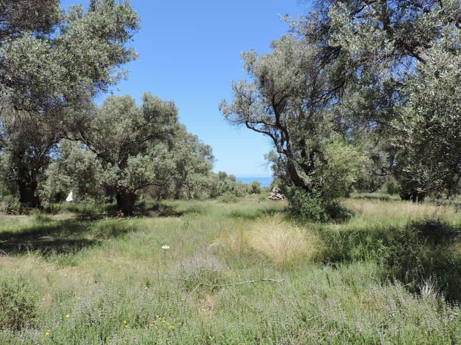 Tanah dalam Rethymno, Kriti 10897239