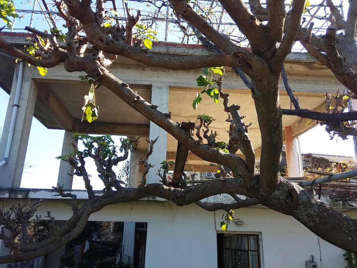 жилой дом в Демпла, Крити 10897358