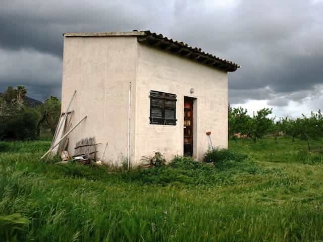 Huis in Binisalem, De Balearen 10898621