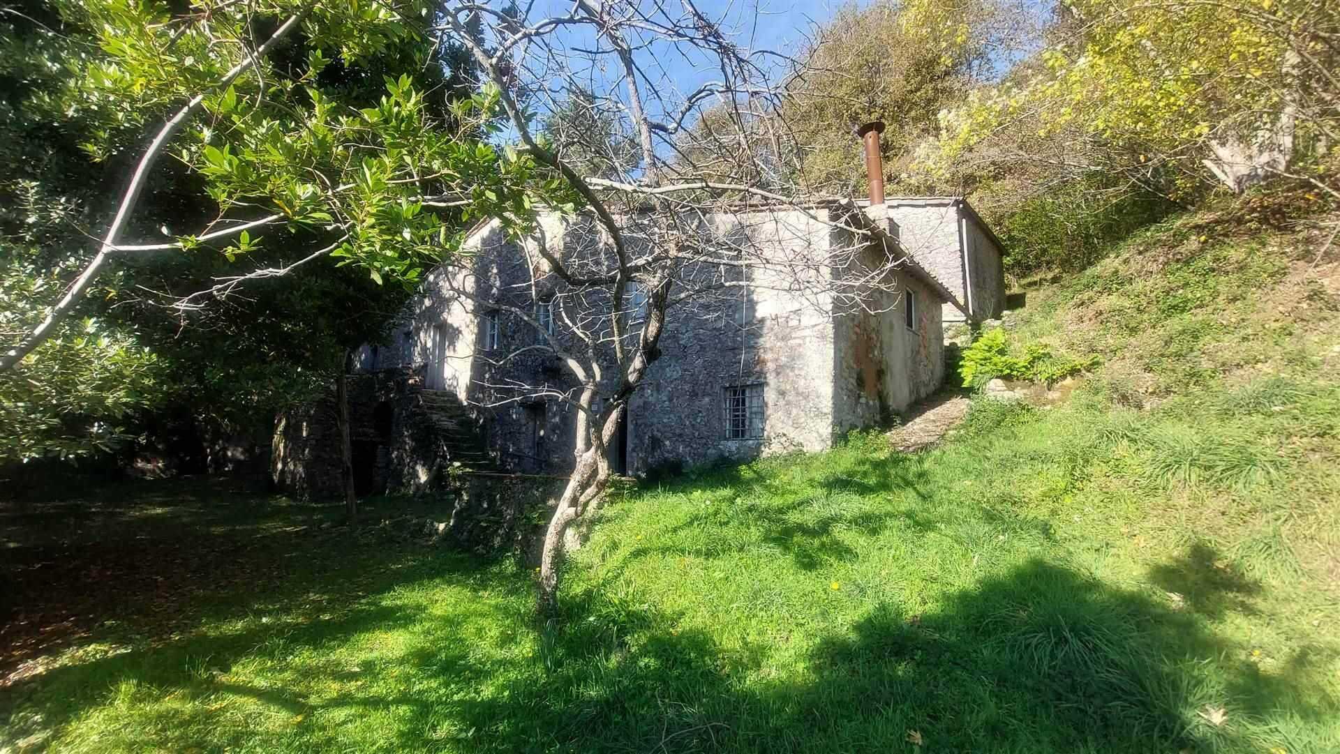 Hus i Pieve di Brancoli, Toscana 10899151