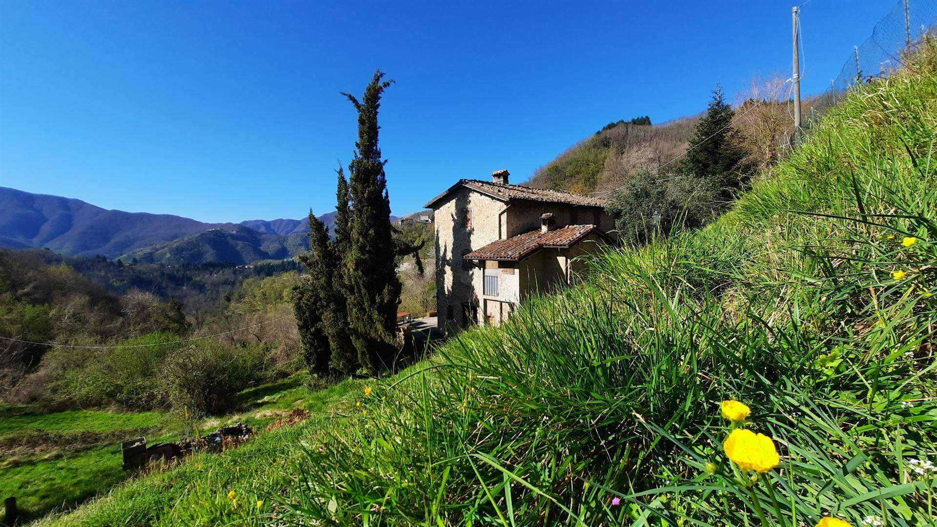 House in Molazzana, Tuscany 10899239