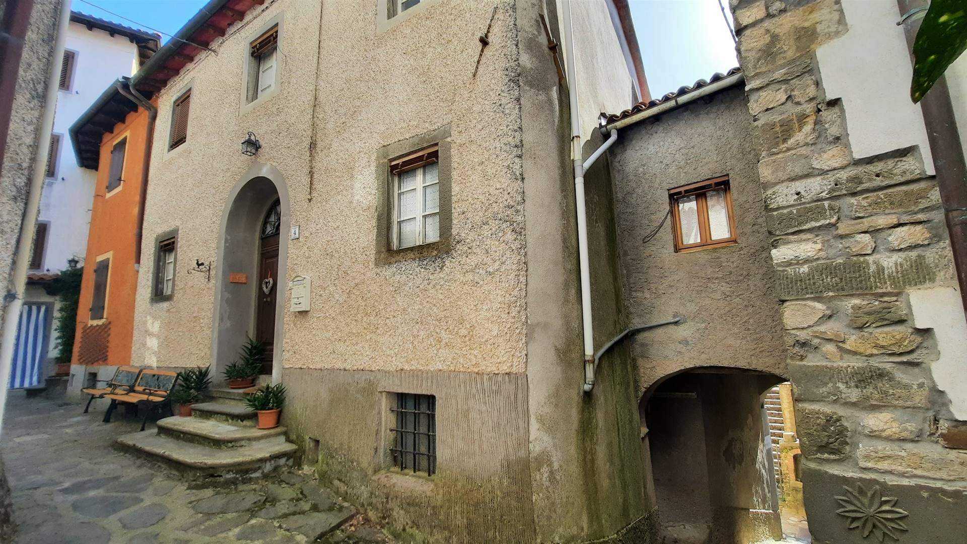 Hus i Gallicano, Toscana 10899246