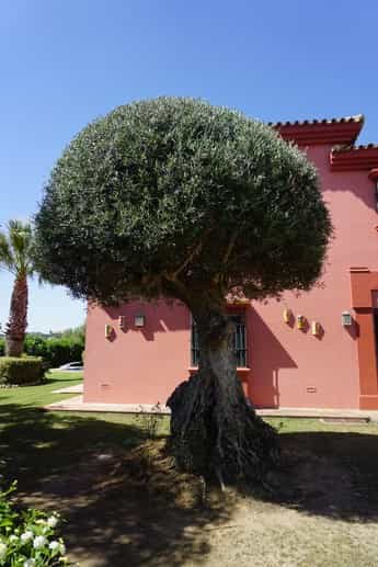 House in San Roque, Andalucía 10902740