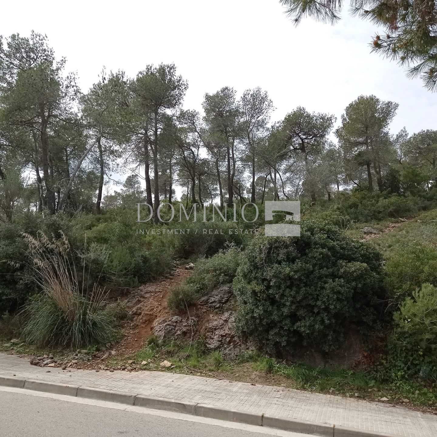 Land in , Catalonia 10903371