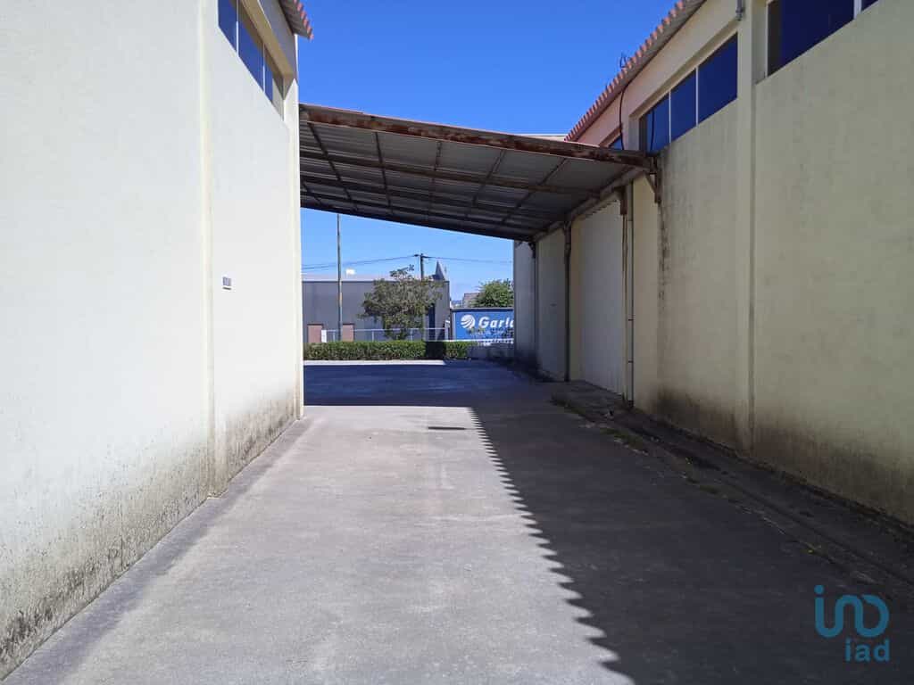 بيع بالتجزئة في Vila Real, Vila Real 10909195