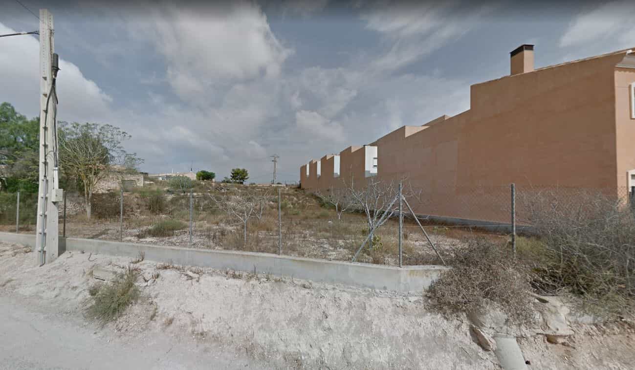 ארץ ב Elx, Comunidad Valenciana 10910313