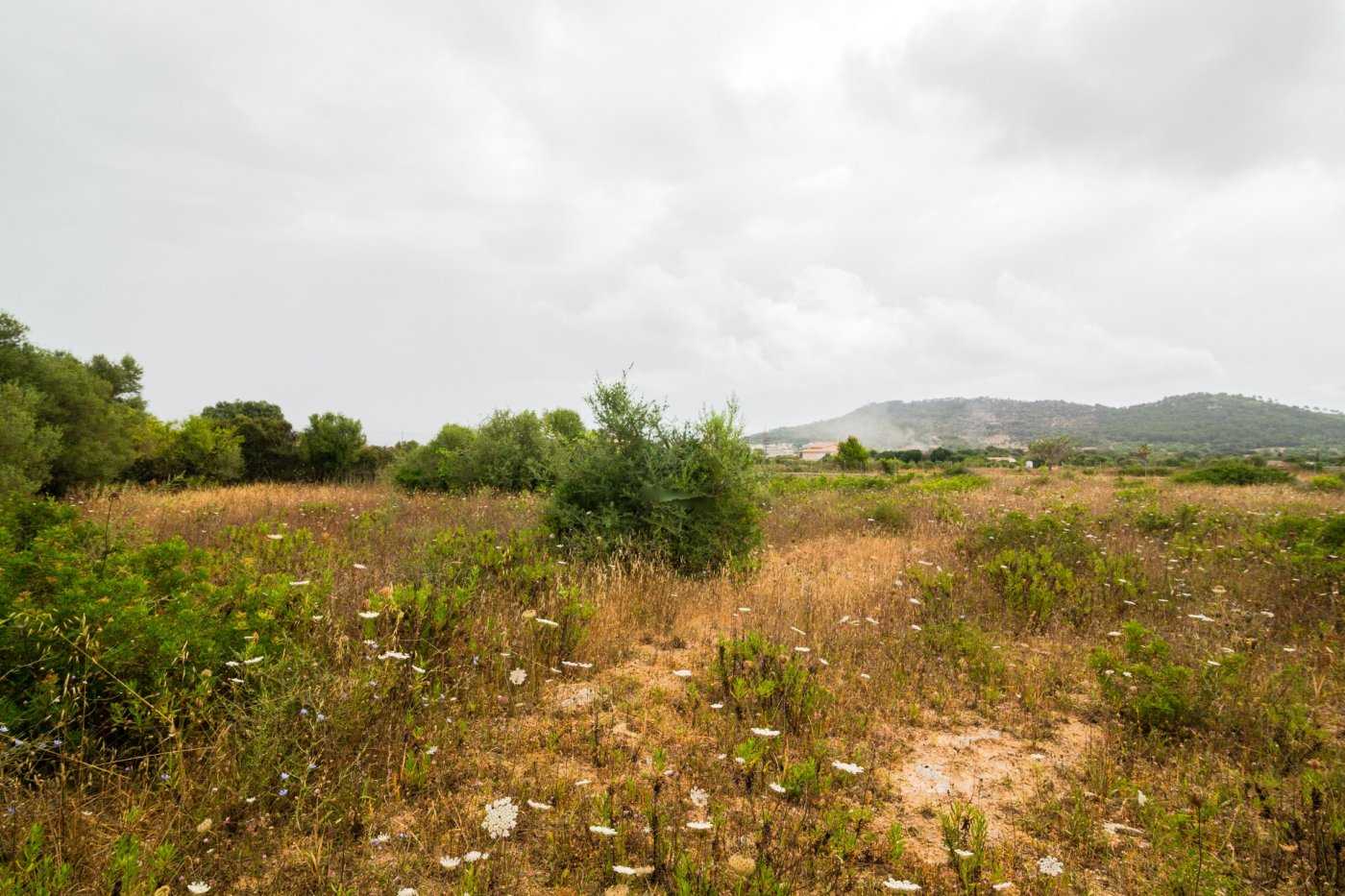 Land in Capdepera, Illes Balears 10913473