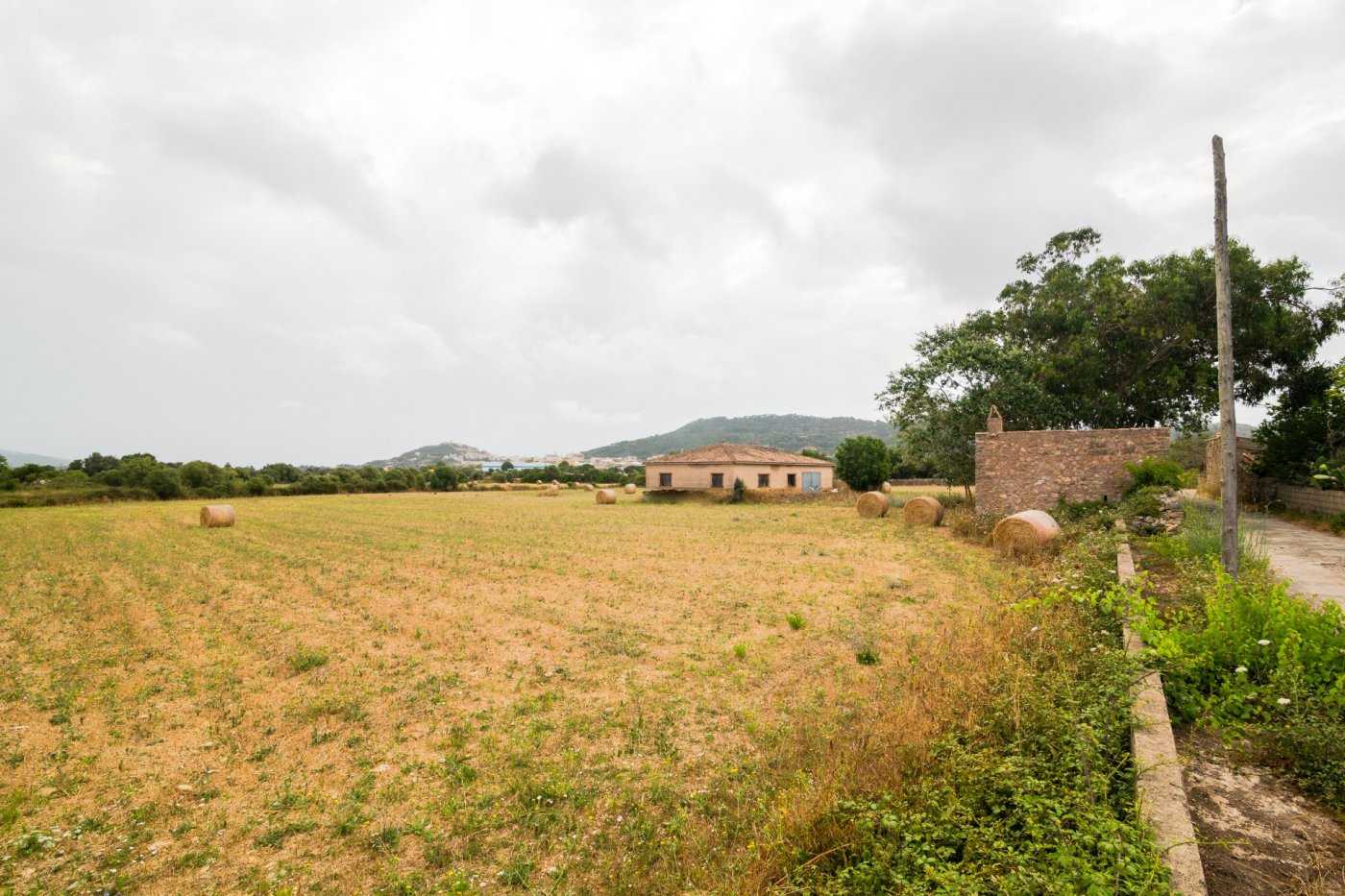 Land in Capdepera, Illes Balears 10913473
