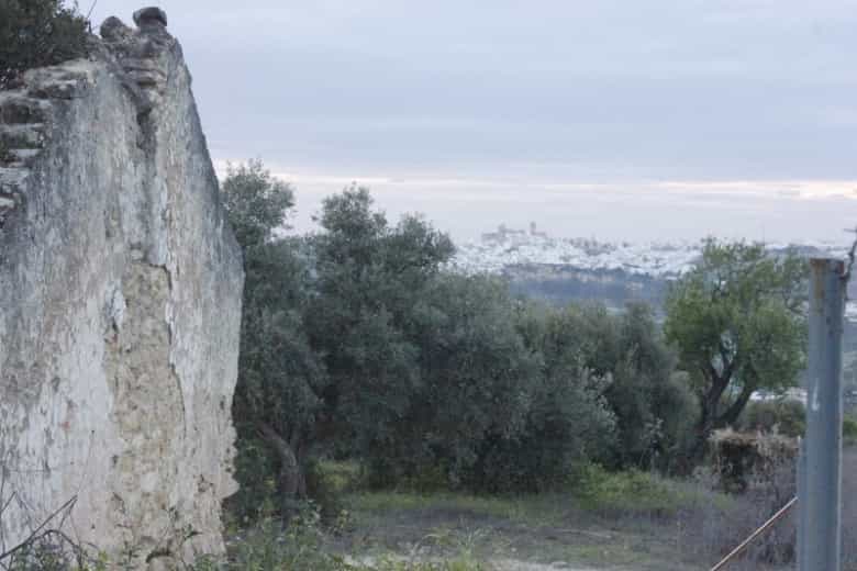 Tanah di Arcos de la Frontera, Andalusia 10913975