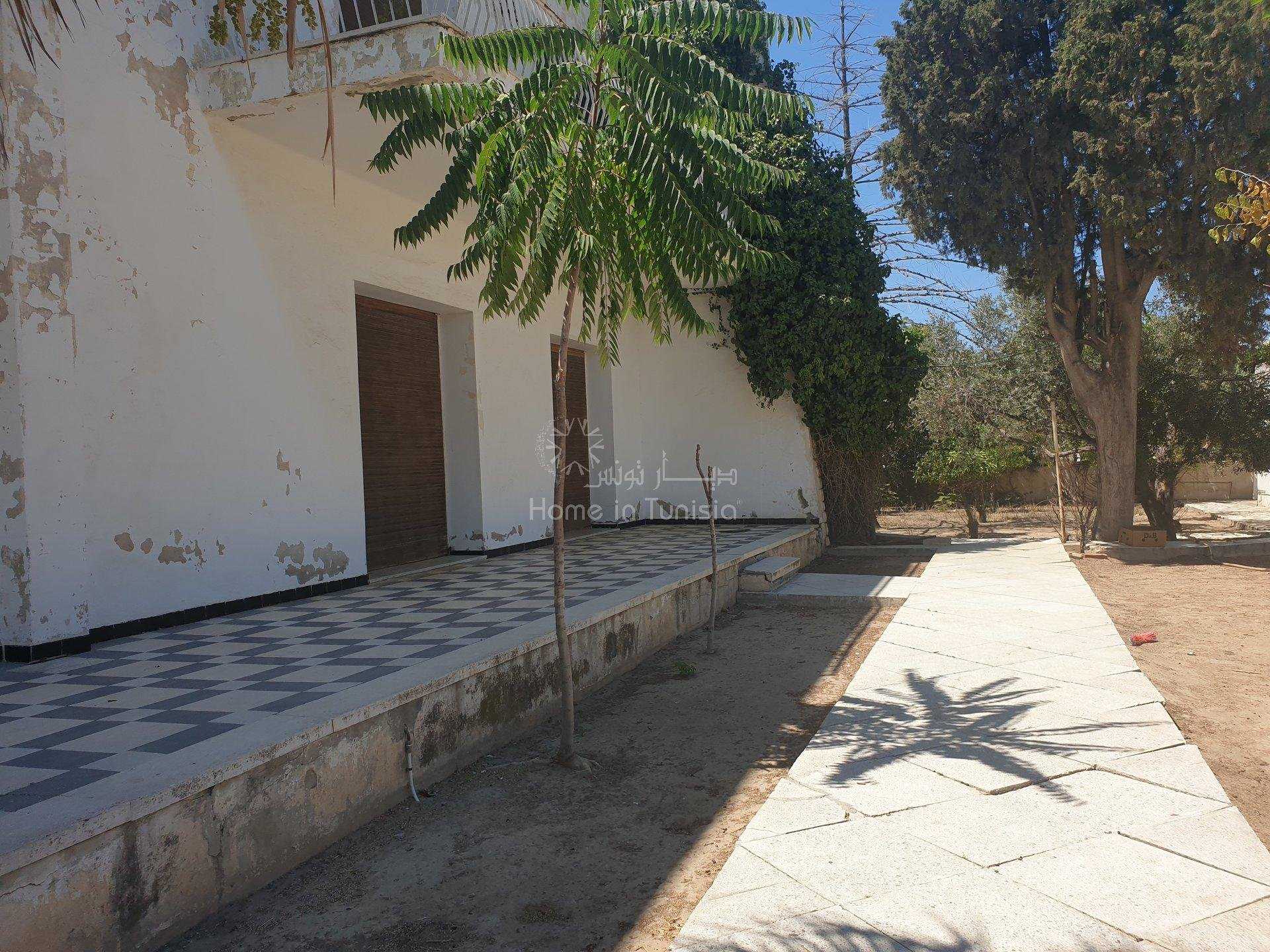 ארץ ב Sousse, Sousse Ville 10915573