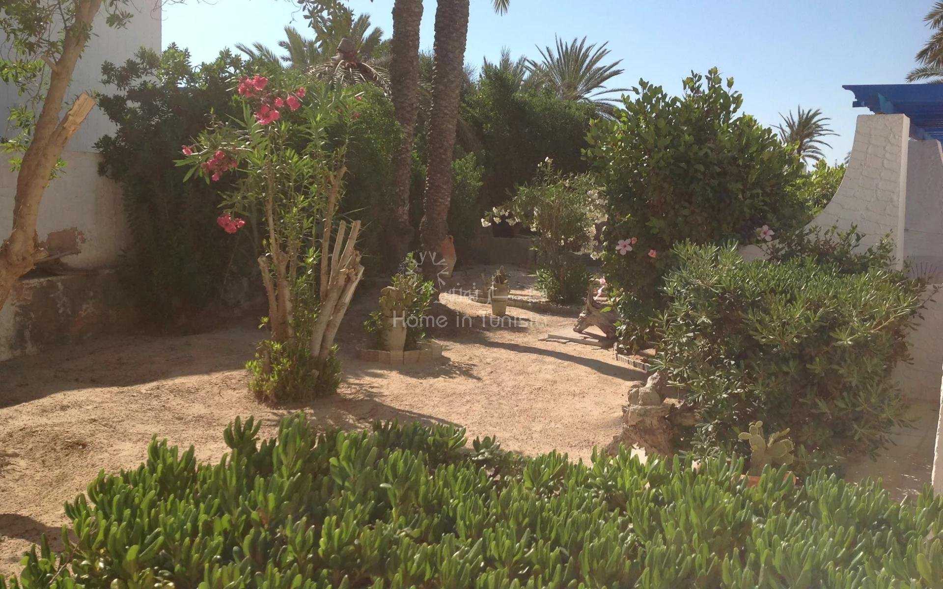 Andet i Djerba, Houmet Essouk 10915604