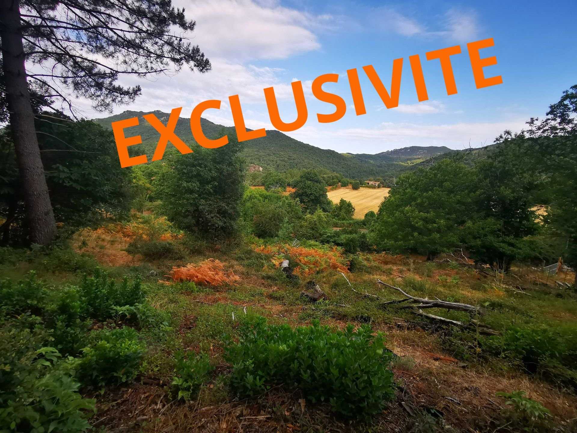 Land in Quenza, Corsica 10915653