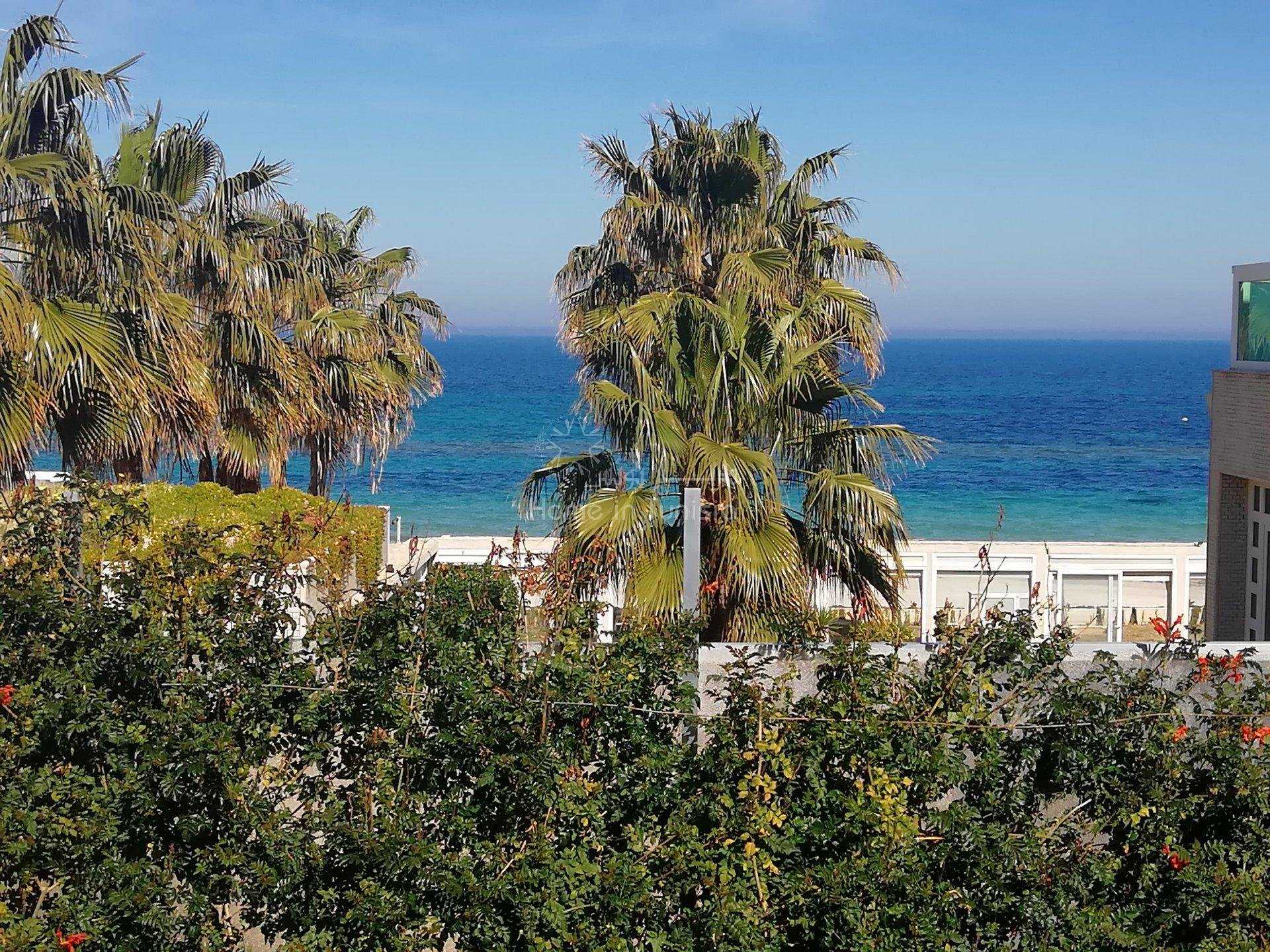 Hus i El Haj Mohammed Zarrouch, Sousse 10915853