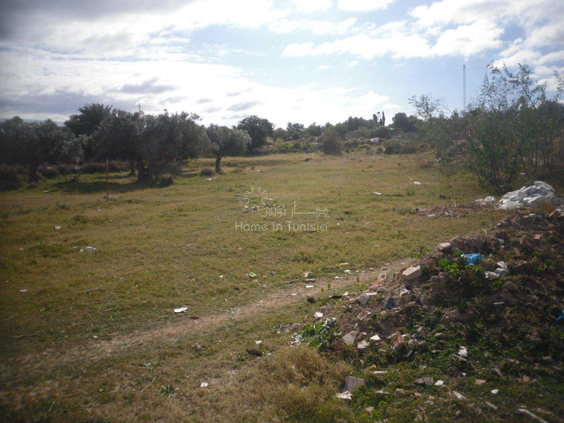 भूमि में Kalaa Srira, Sousse 10916105
