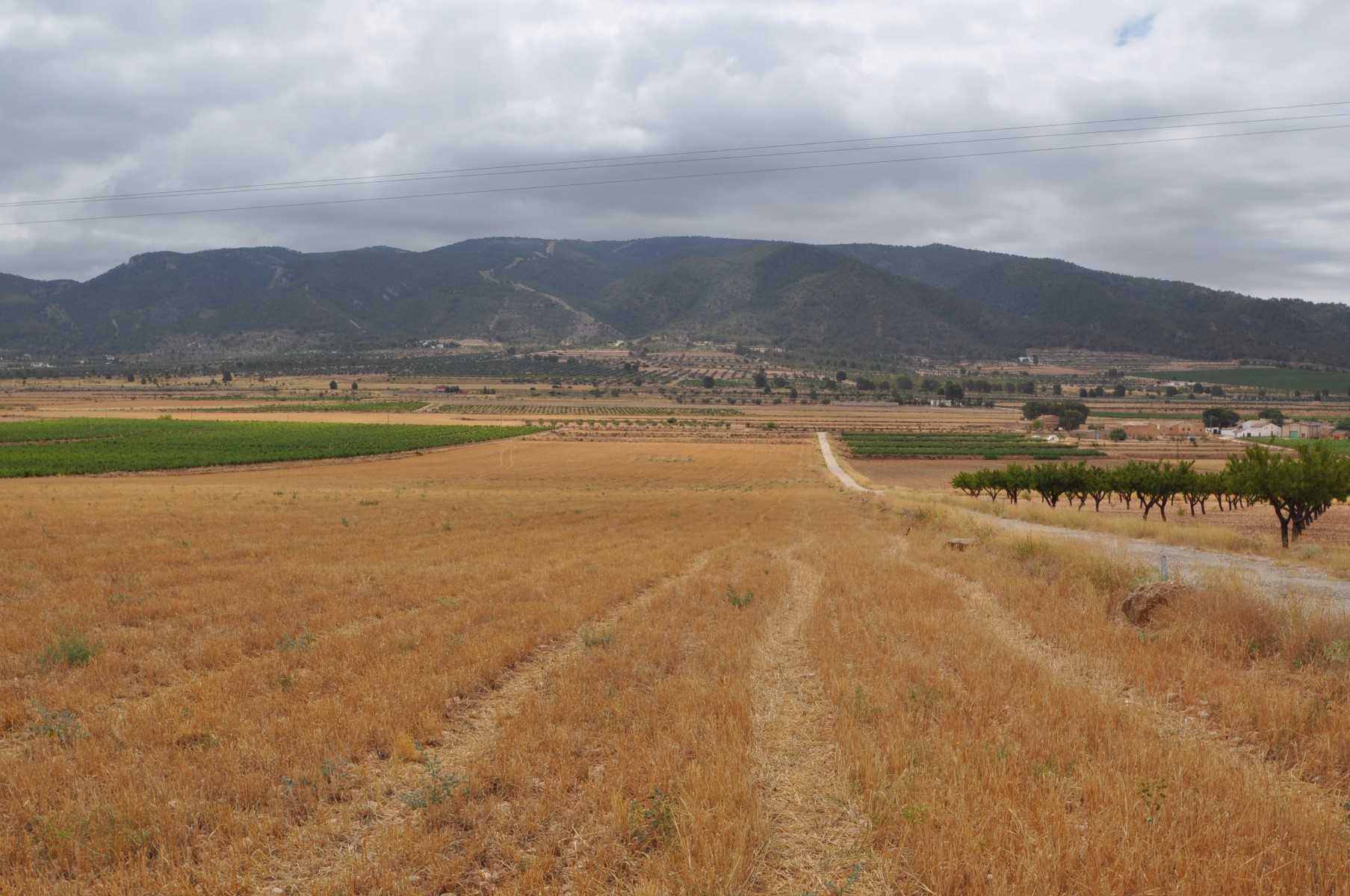 Tanah di Yecla, Región de Murcia 10918512