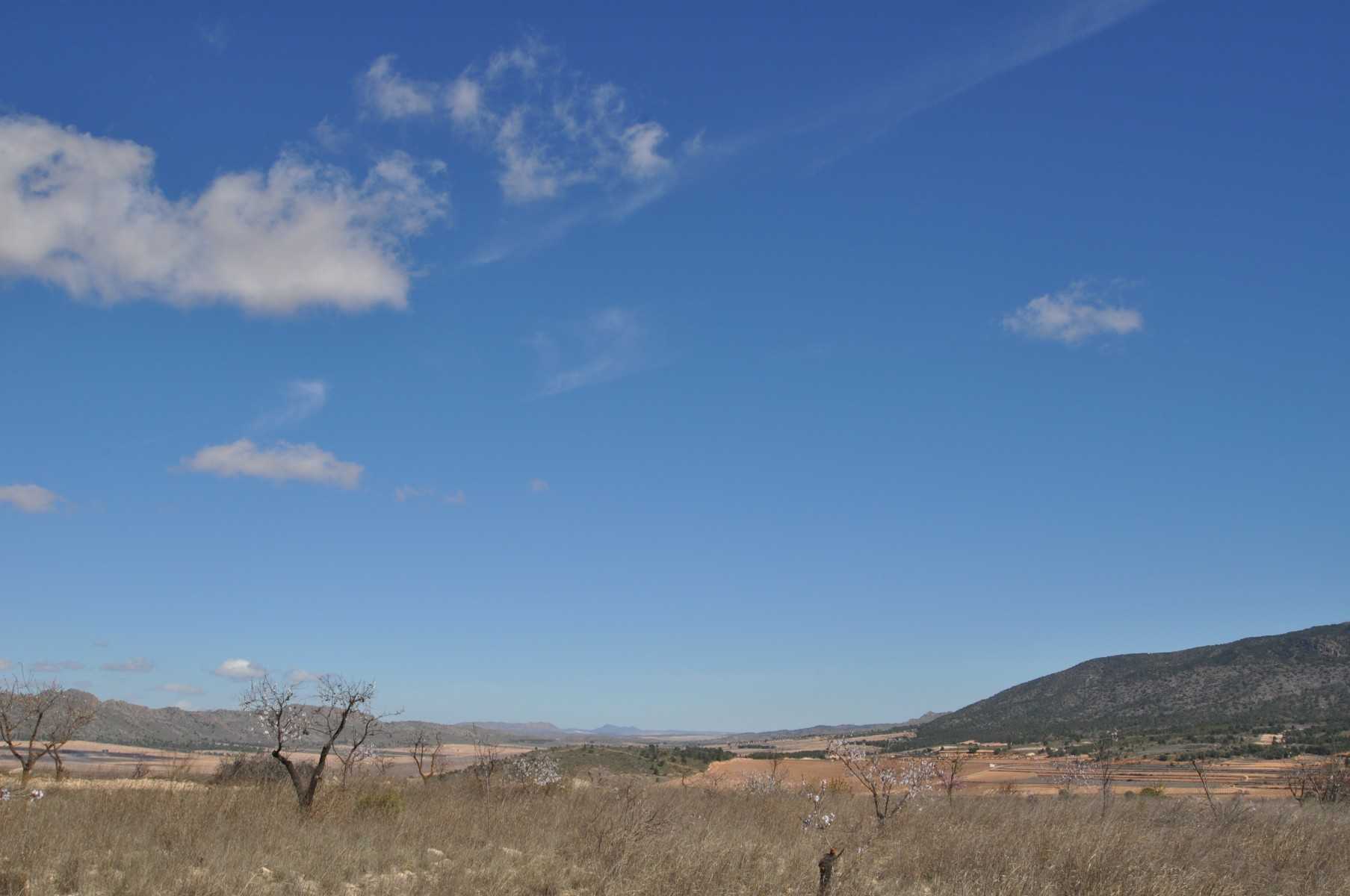 Tanah dalam Raspay, Región de Murcia 10921241
