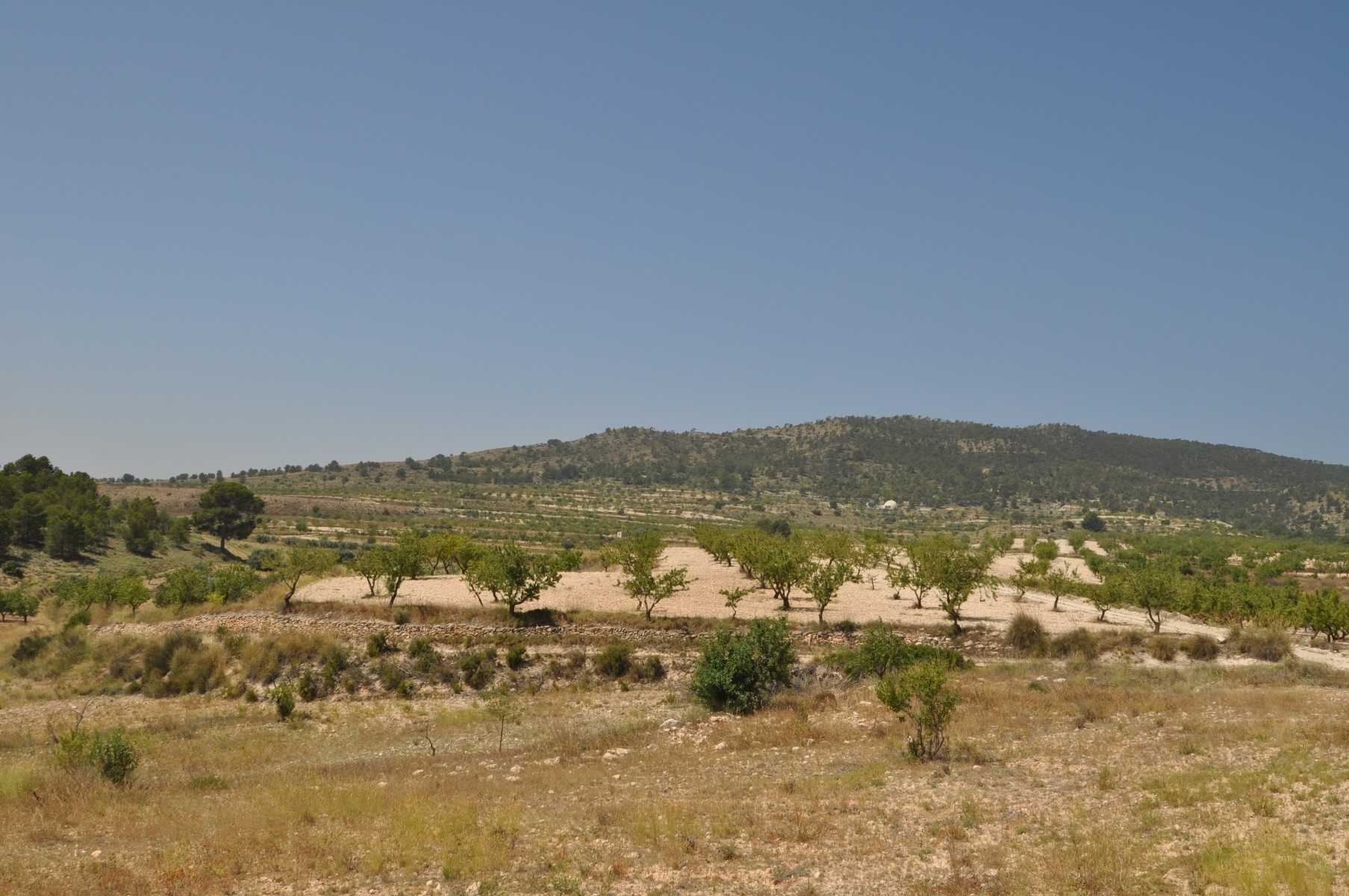 Land in Raspay, Región de Murcia 10921241