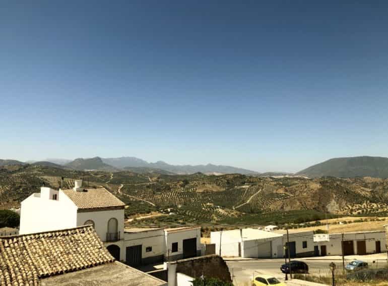 House in Olvera, Andalusia 10921890