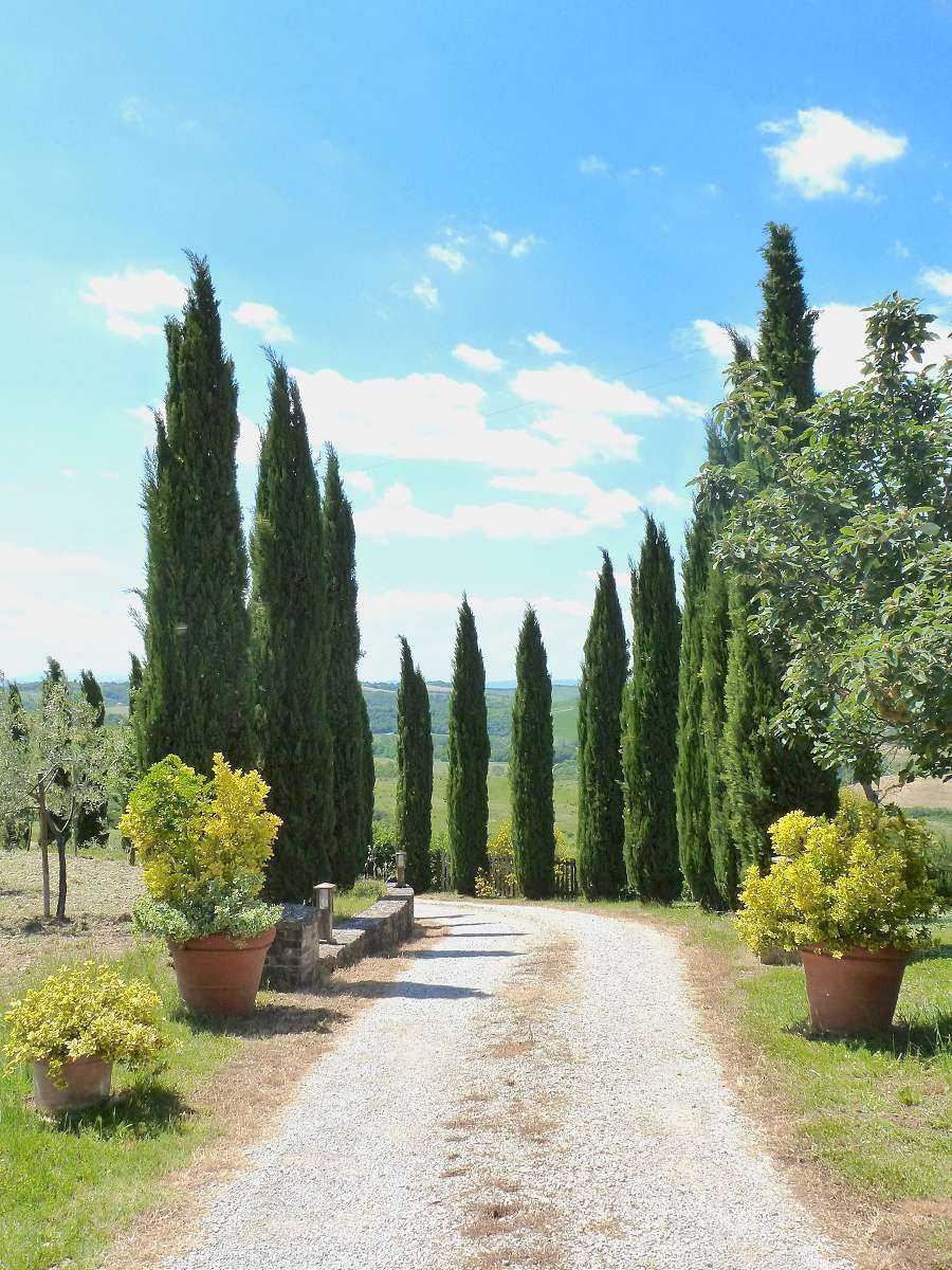 Huis in Asciano, Toscane 10925861