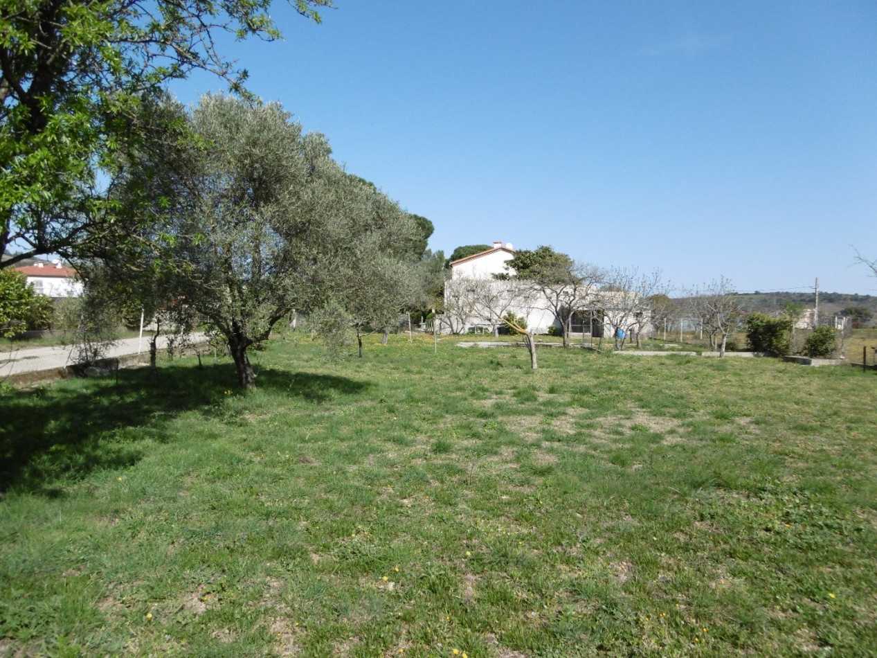 Huis in Ceret, Occitanië 10926400