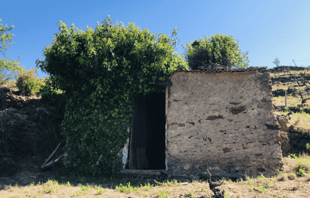Dom w Collioure, Oksytania 10929260